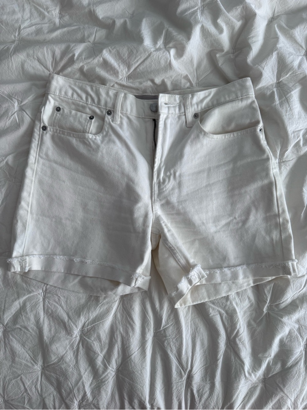 Everlane White Denim Cuffed Shorts